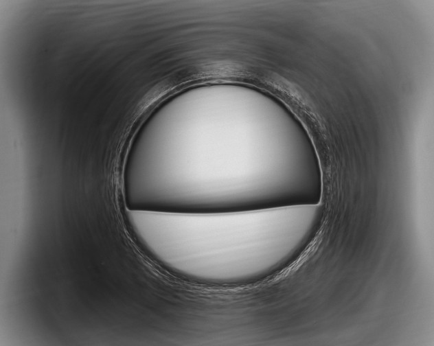 X0000097991073200803241017