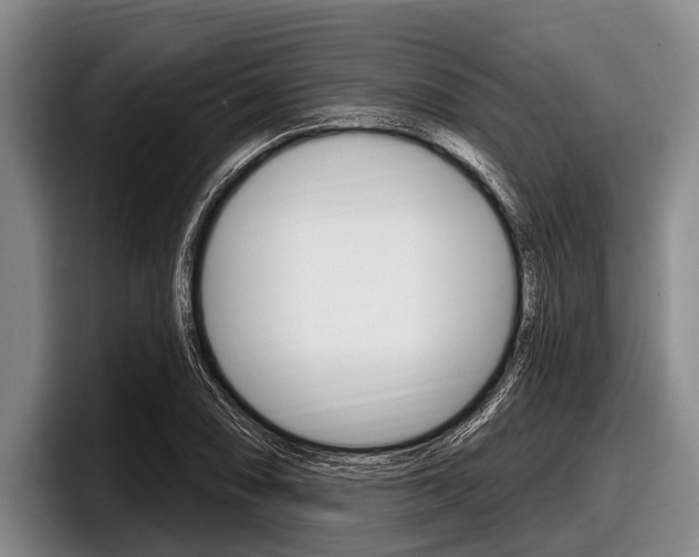 X0000097991074200803241017