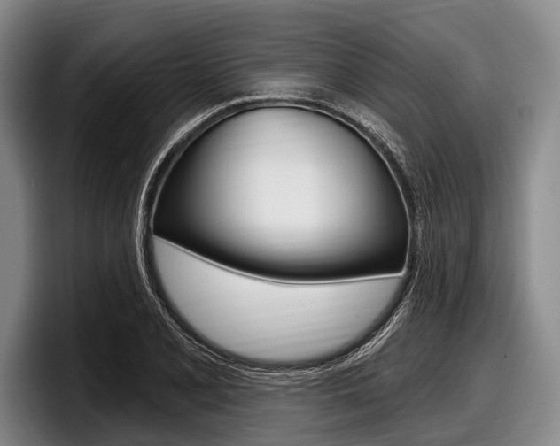 X0000097991077200803241017