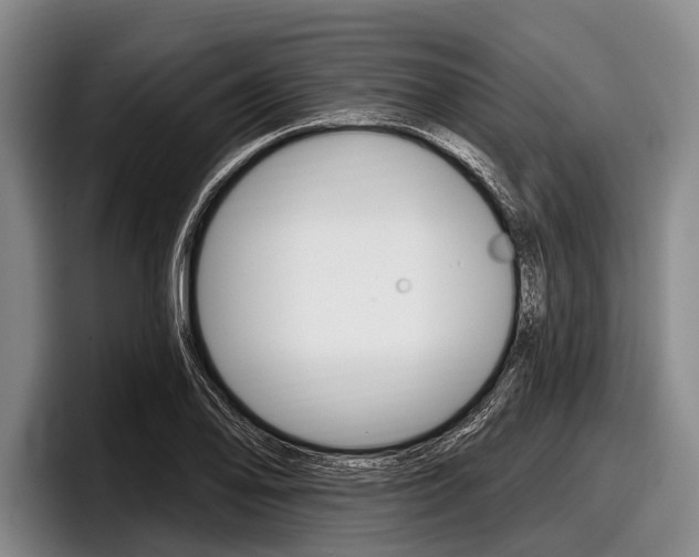 X0000097991078200803241017