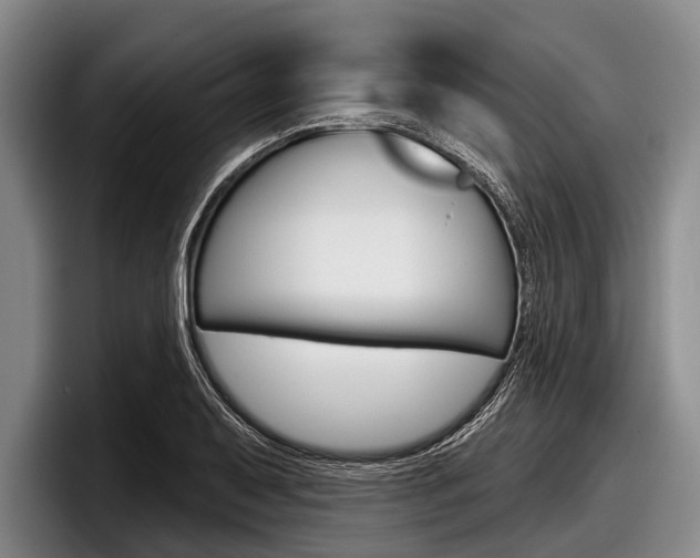 X0000097991079200803241017