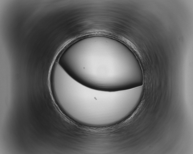X0000097991082200803241017