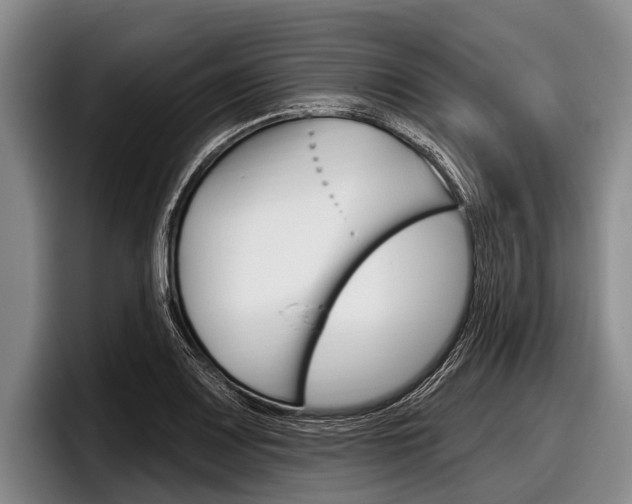 X0000097991083200803241017