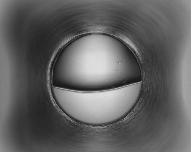 X0000097991088200803241017