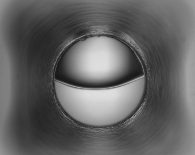 X0000097991089200803241017
