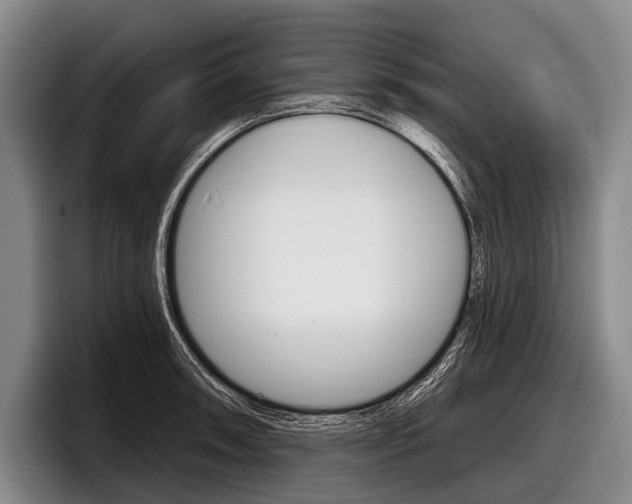 X0000097991090200803241017