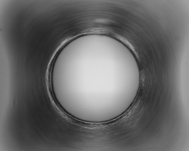 X0000097991091200803241017