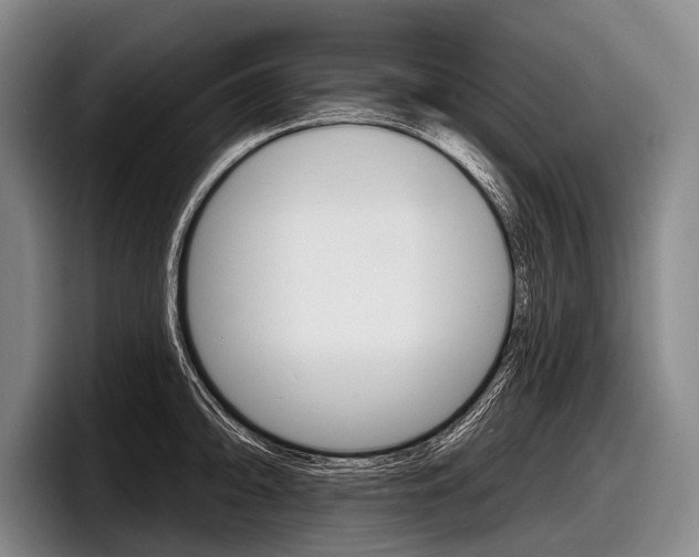 X0000097991094200803241017