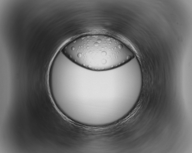 X0000097991095200803241017