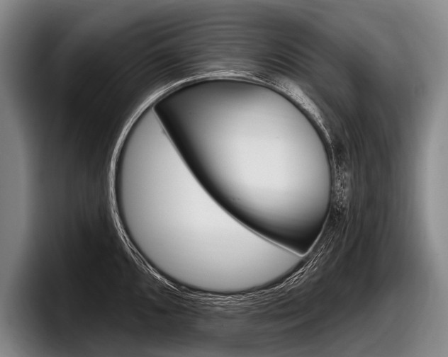 X0000097991096200803241017
