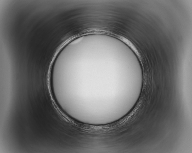 X0000097991098200803241017