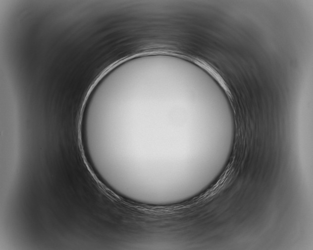 X0000097991101200803241016