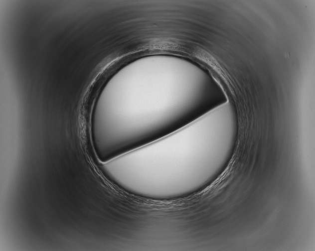X0000097991115200803241016