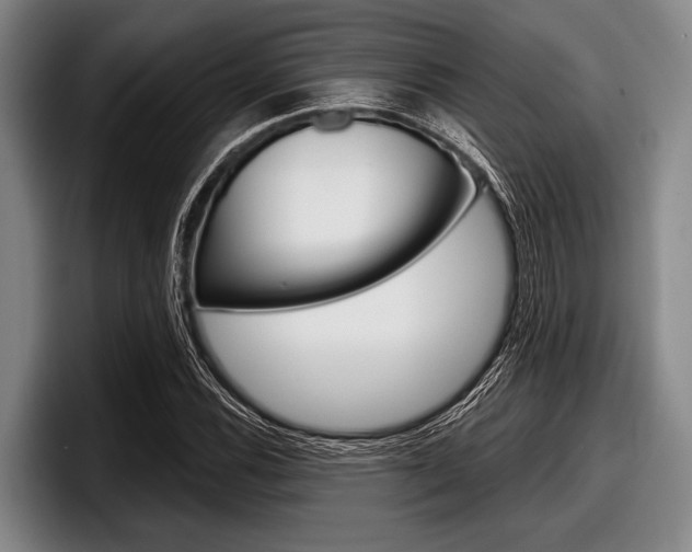 X0000097991116200803241016