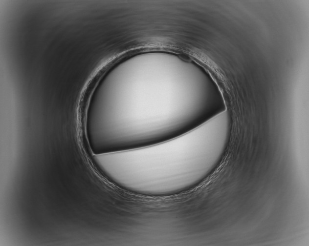 X0000097991120200803241016