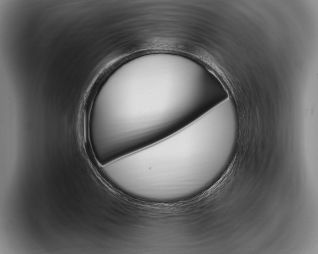 X0000097991123200803241016