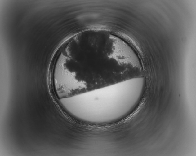 X0000097991125200803241016