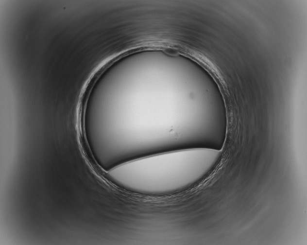 X0000097991128200803241016