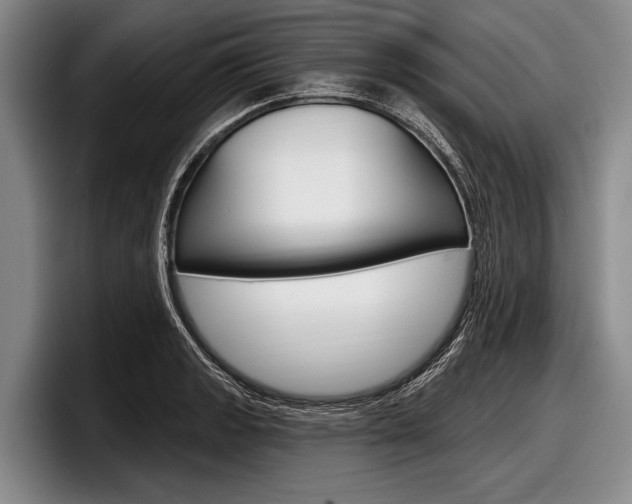 X0000097991133200803241016
