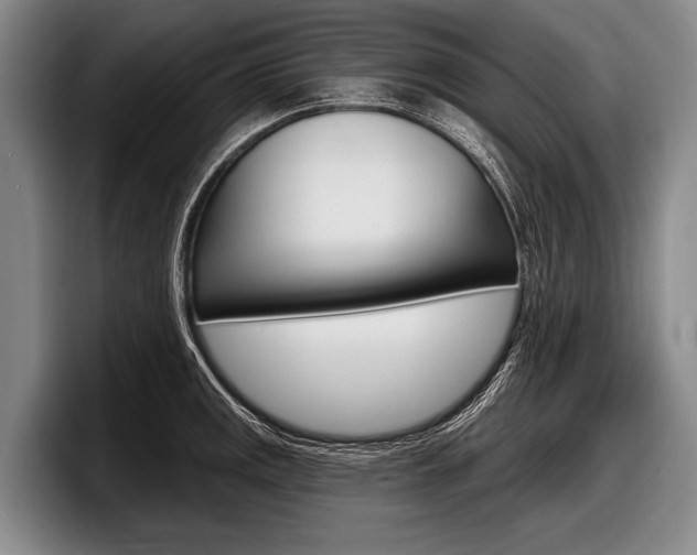 X0000097991141200803241016