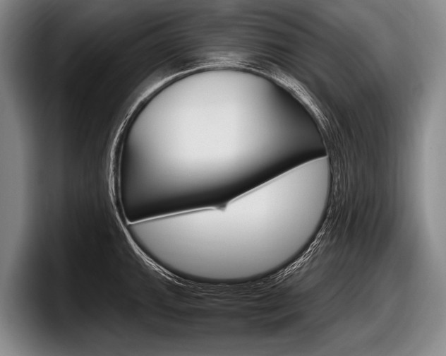 X0000097991143200803241016