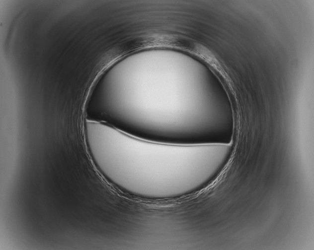 X0000097991145200803241016