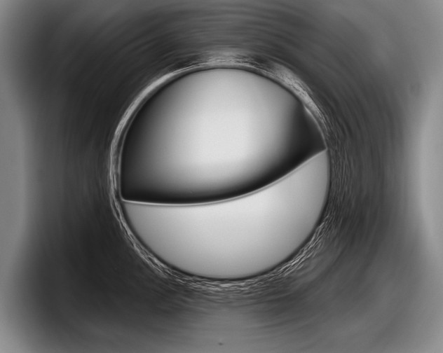 X0000097991148200803241016