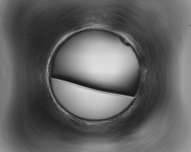 X0000097991151200803241016