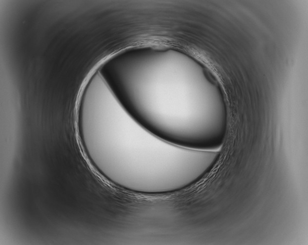 X0000097991152200803241016