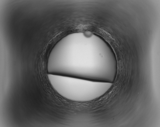 X0000097991158200803241016