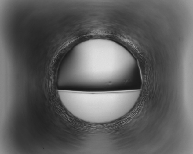 X0000097991159200803241016
