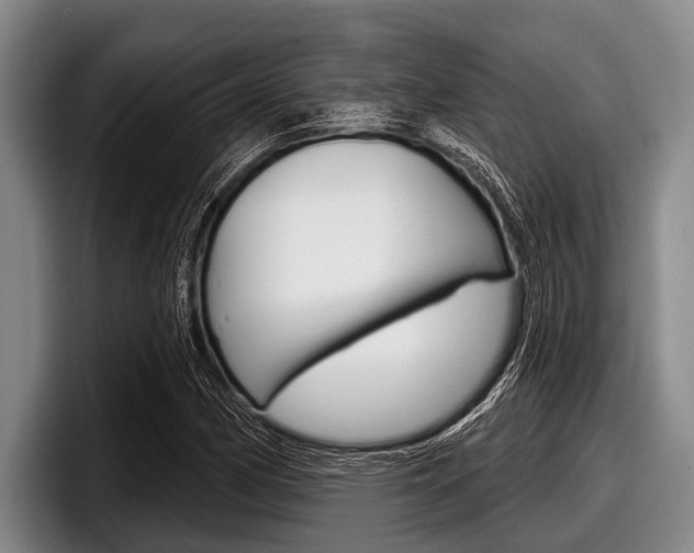 X0000097991162200803241016