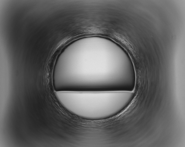 X0000097991163200803241016