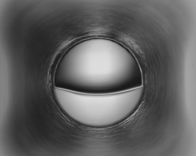 X0000097991164200803241016