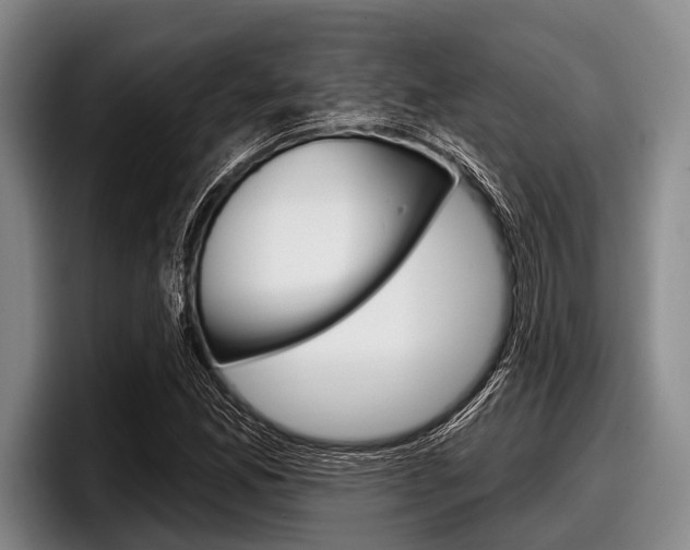 X0000097991165200803241016