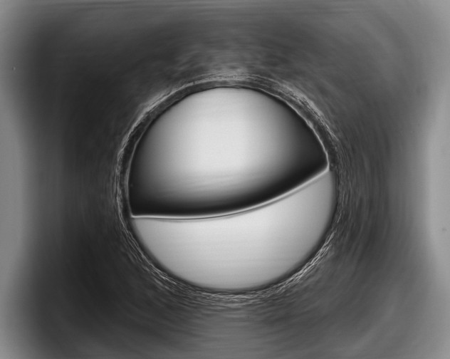 X0000097991168200803241016