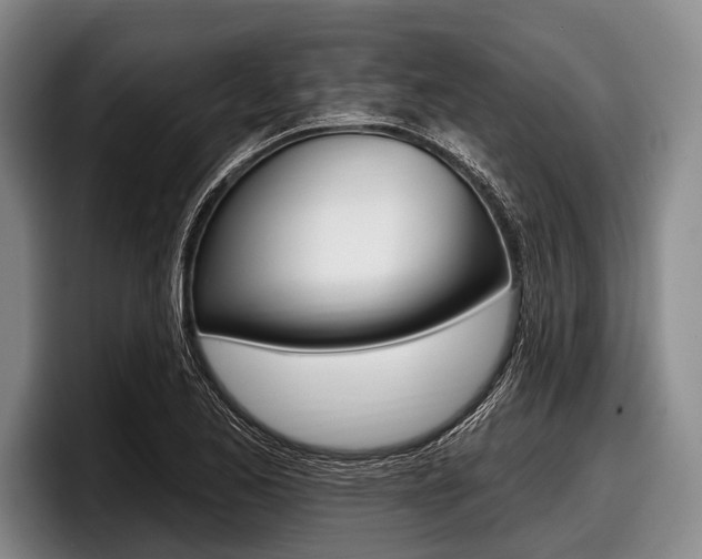 X0000097991173200803241016