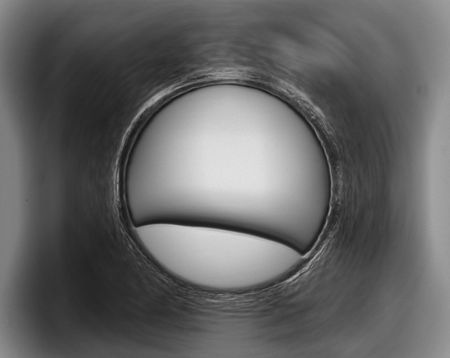 X0000097991174200803241016