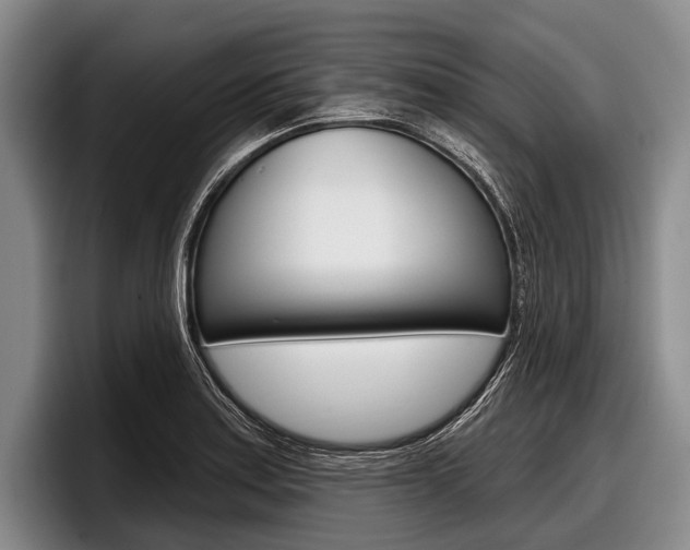 X0000097991179200803241015