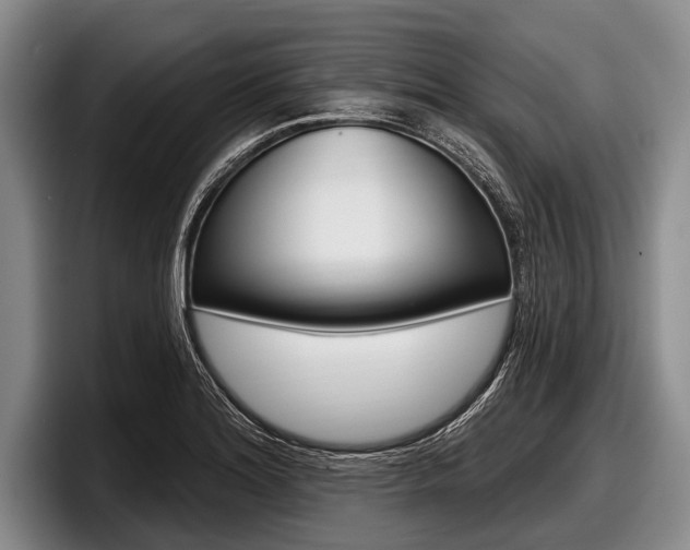 X0000097991180200803241015