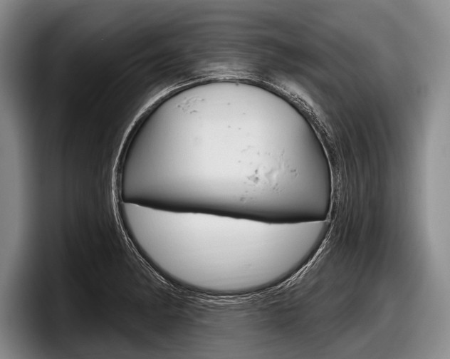 X0000097991182200803241015