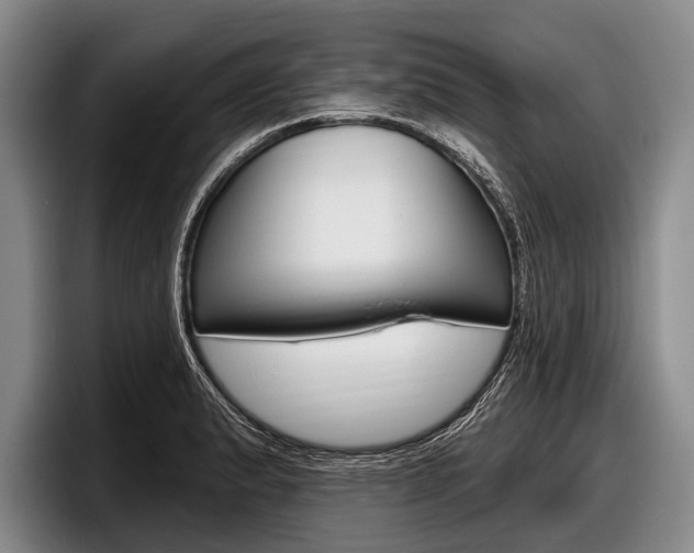 X0000097991183200803241015