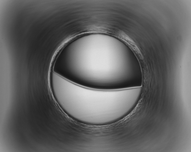 X0000097991188200803241015