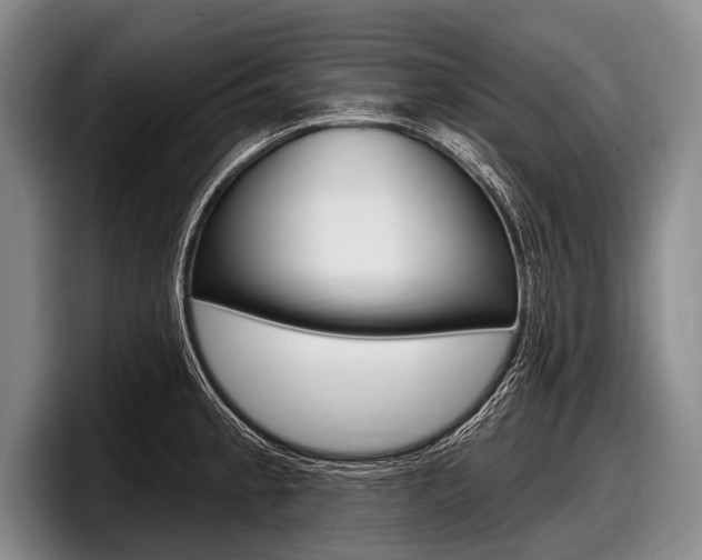 X0000097991189200803241015
