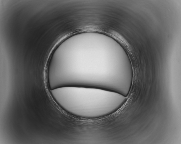 X0000097991190200803241015