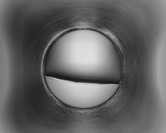 X0000097991191200803241015