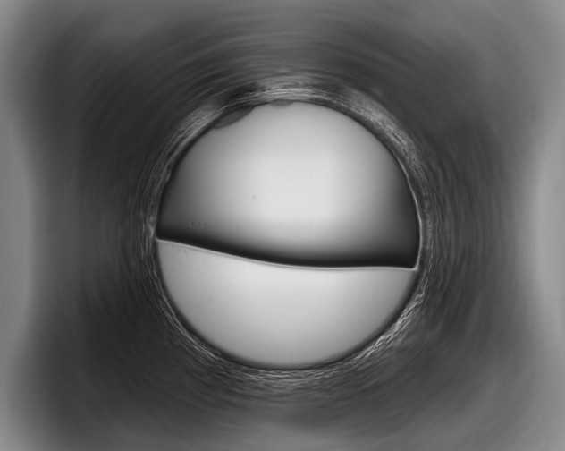 X0000097991193200803241015