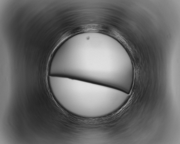 X0000097991194200803241015