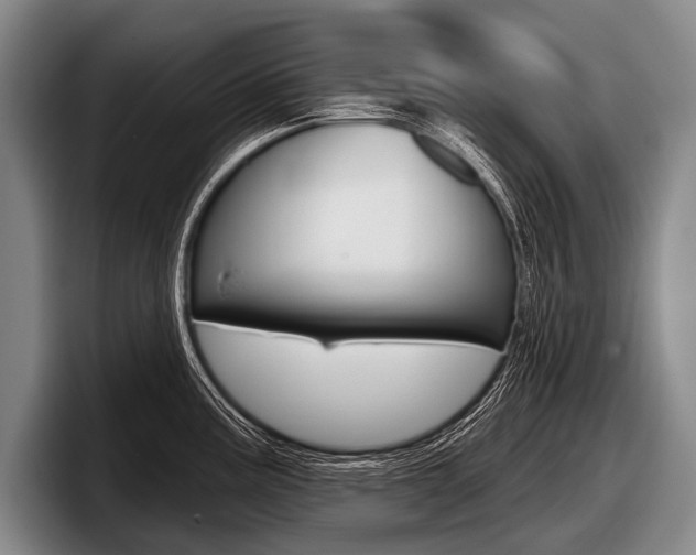 X0000097991195200803241015