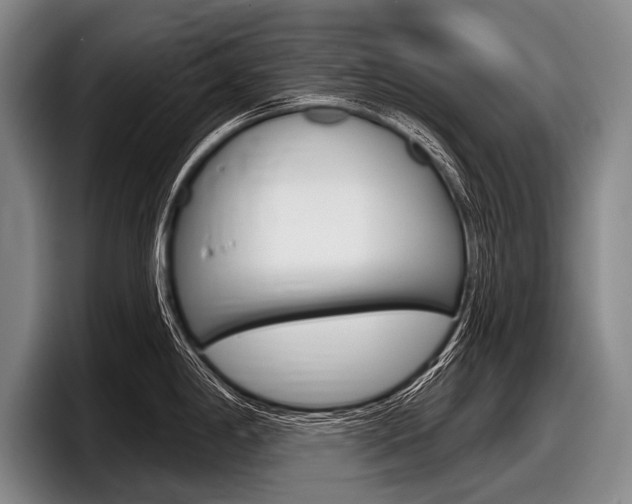 X0000097991198200803241015